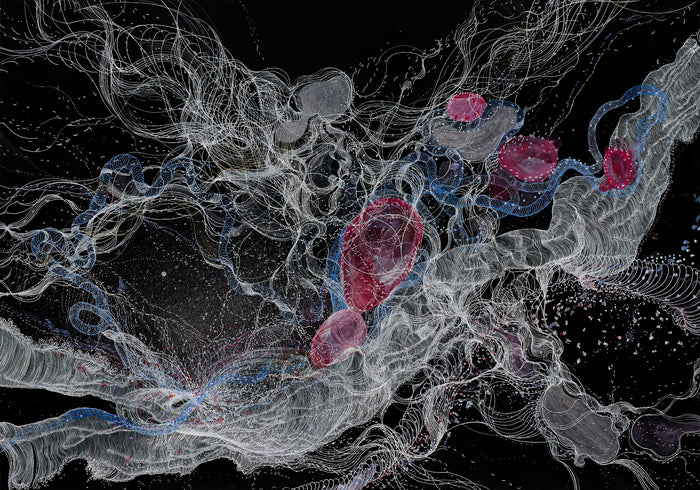 Evolution by Romessa Khan